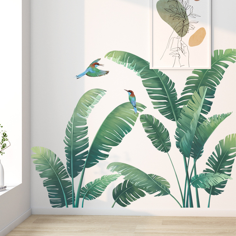 Tanaman Tropis daun pisang sti - Monstera Thai Constellation ulasan dan harga