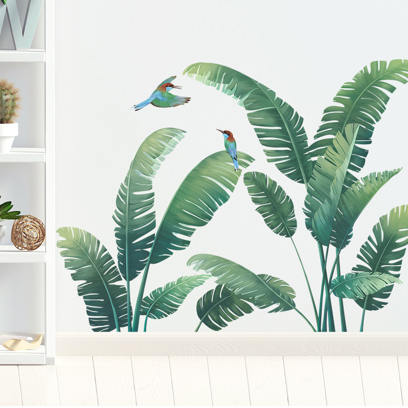 Tanaman Tropis daun pisang sti - Monstera Thai Constellation ulasan dan harga