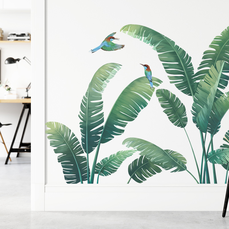 Tanaman Tropis daun pisang sti - Monstera Thai Constellation ulasan dan harga