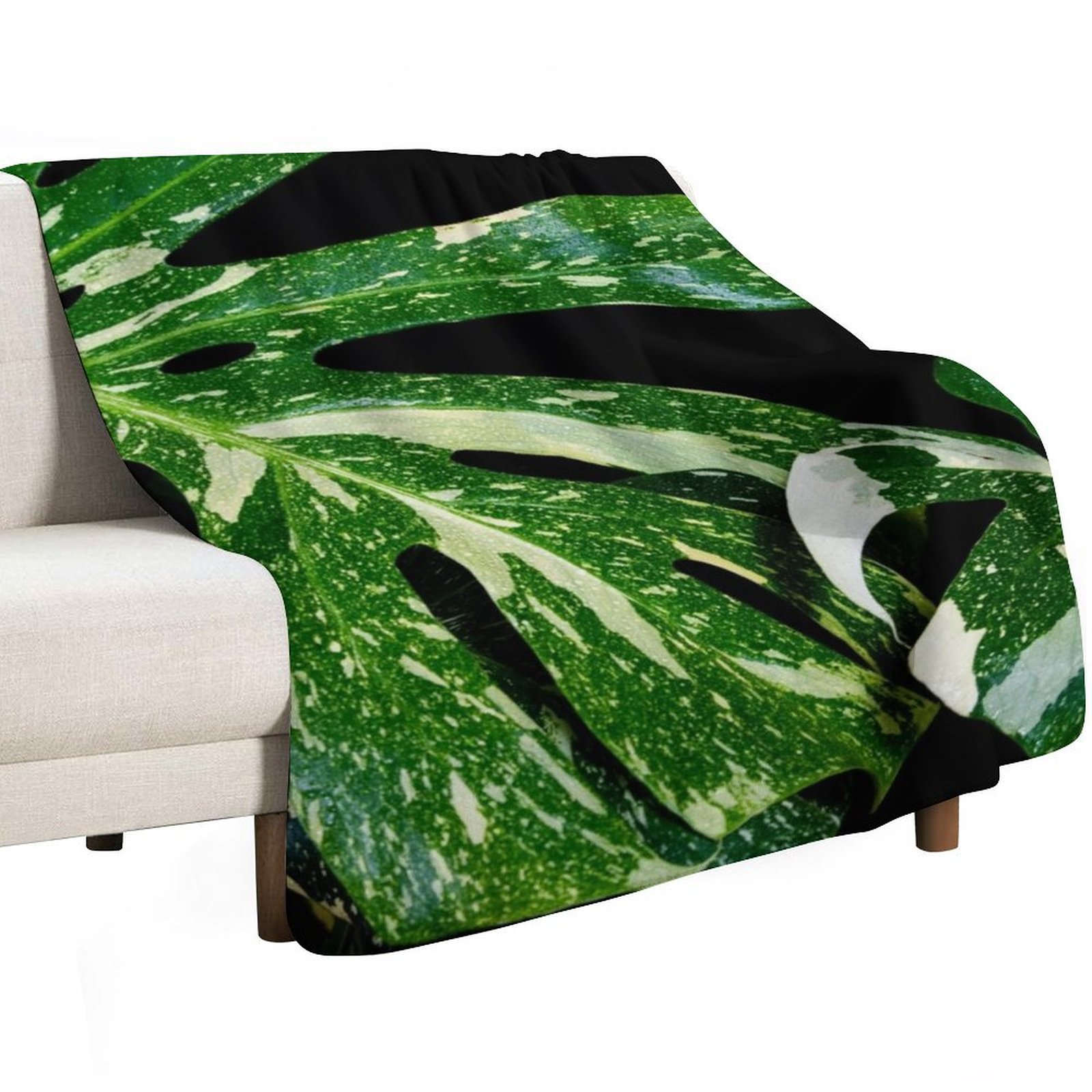 Selimut Monstera Thai Constell - Monstera Thai Constellation ulasan dan harga